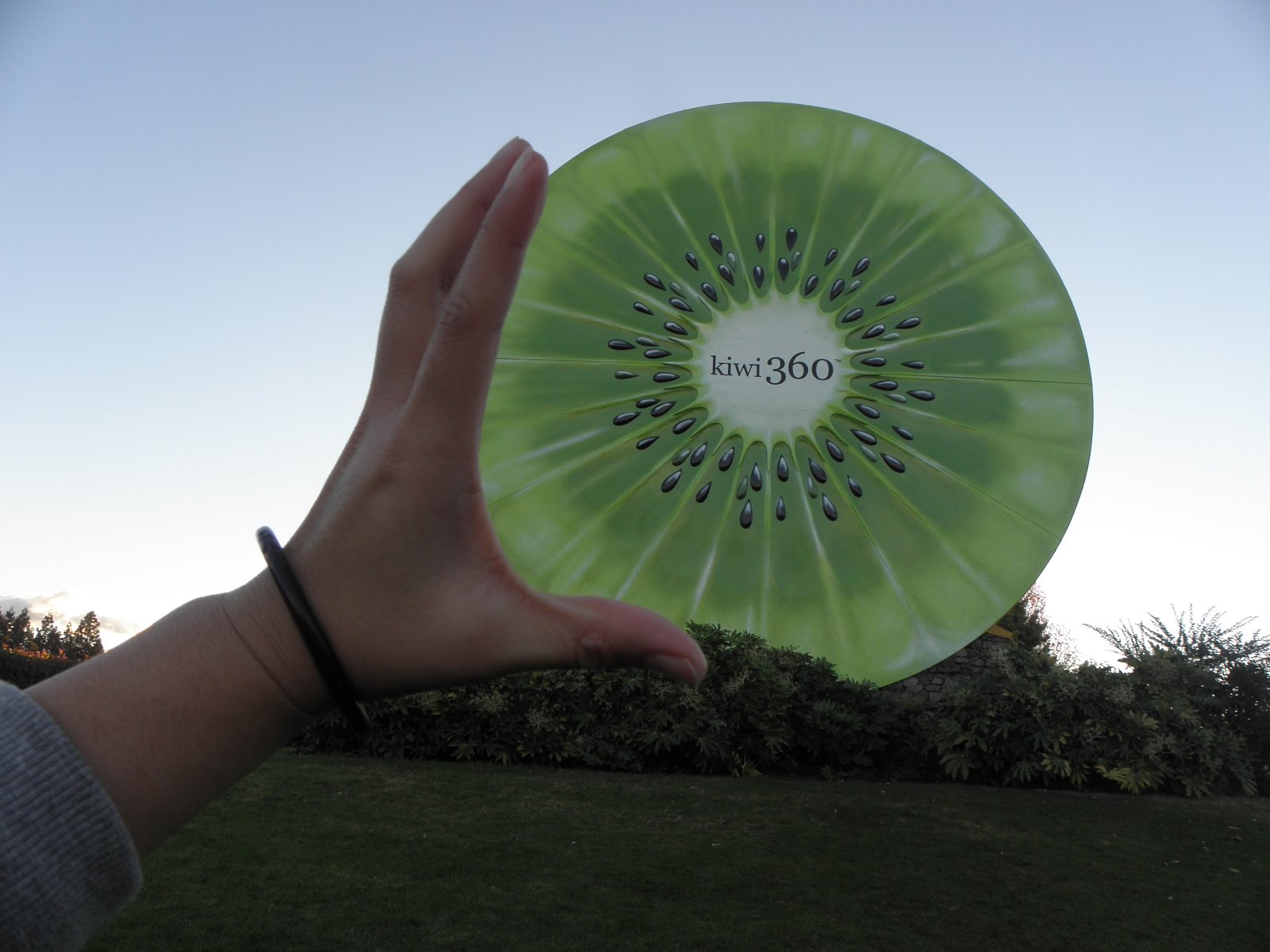 Its my place New Zealand Te Puke Biggest kiwi in the world!