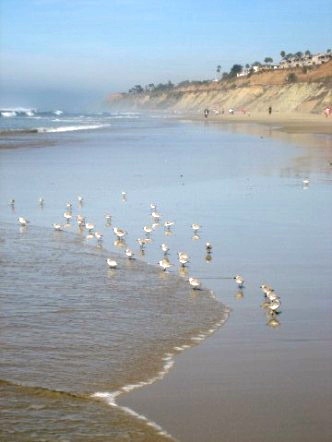 [293306154_65afabe6fc.jpg]