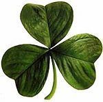 Shamrock, San Patricio