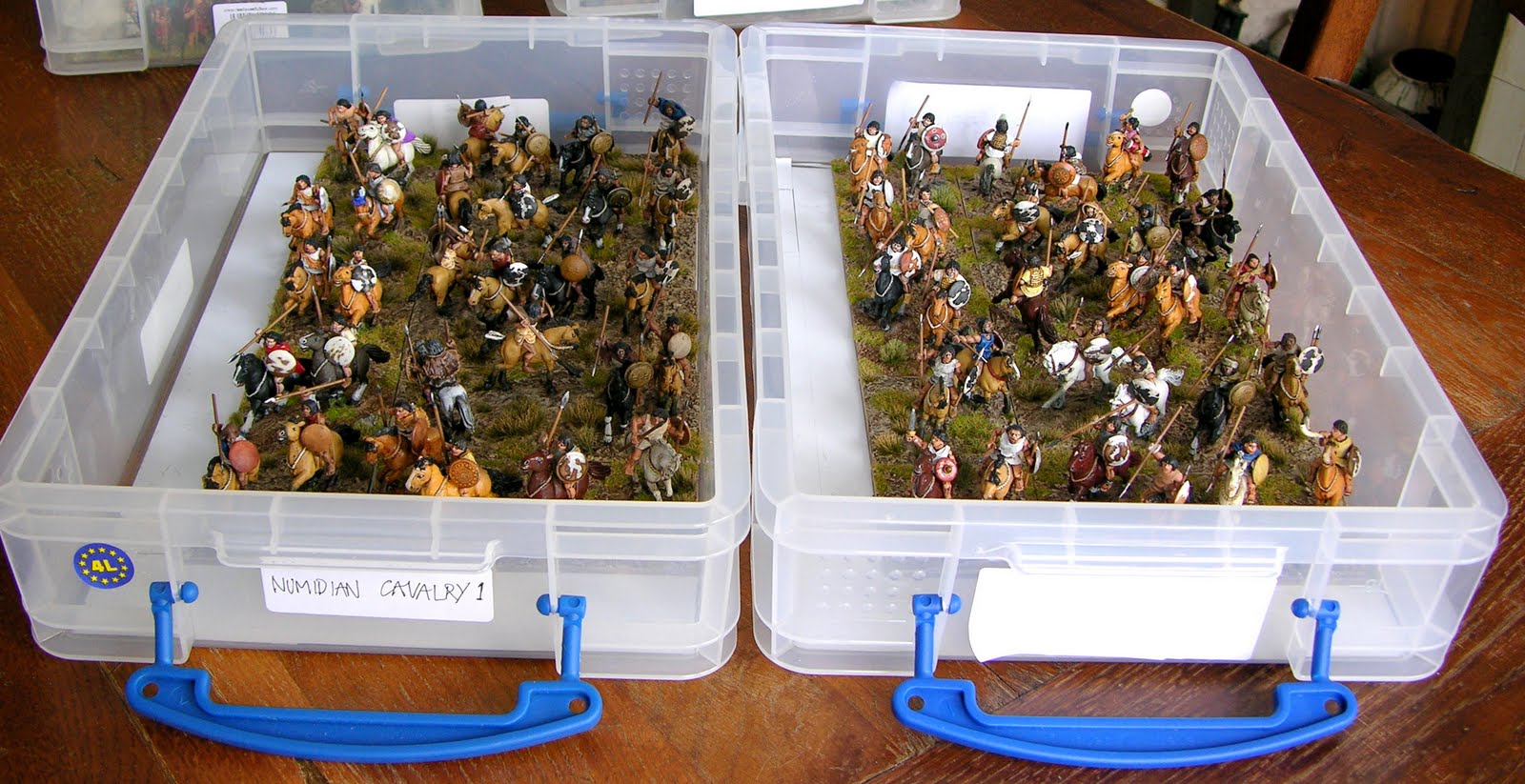 [Numidians+in+boxes+003.jpg]