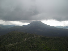 Program Penyerapan Di Bali