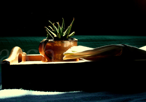 [3293699087_7cfba23a39.jpg]