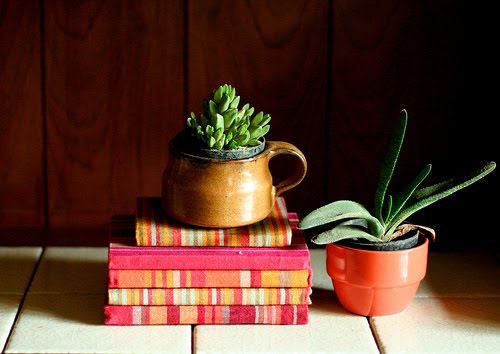 [2478965829_0d19a8fca3.jpg]