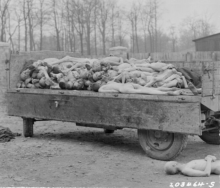 [699px-Buchenwald_corpse_trailer_ww2-181[1].jpg]