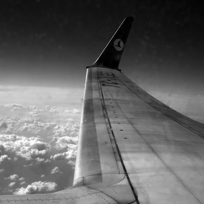 Boeing 737-800, avion, plane, turkish airlines, sky, clouds, ciel, nuages, photo © dominique houcmant