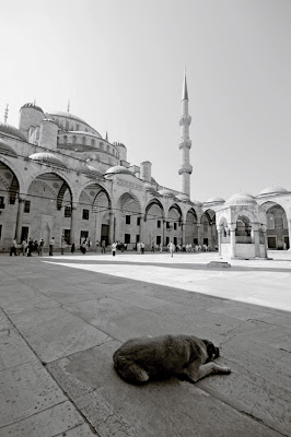sultanahamet camii Istanbul, Türkiye, blue mosque, la mosquée bleue, istanbul, turquie, photo © dominique houcmant