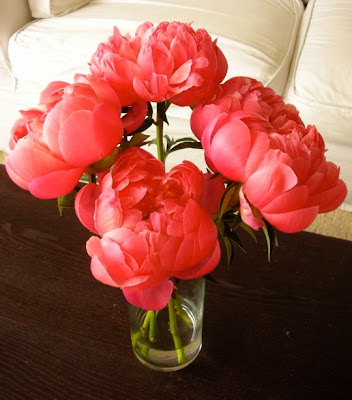 hot pink flower for wedding decorations