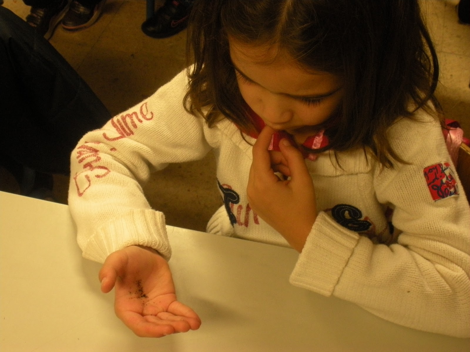 Atuação Dos Cincos Sentidos Juntos Na Percepção Dos Objetos Exemplo