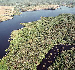 [amazonia.jpg]