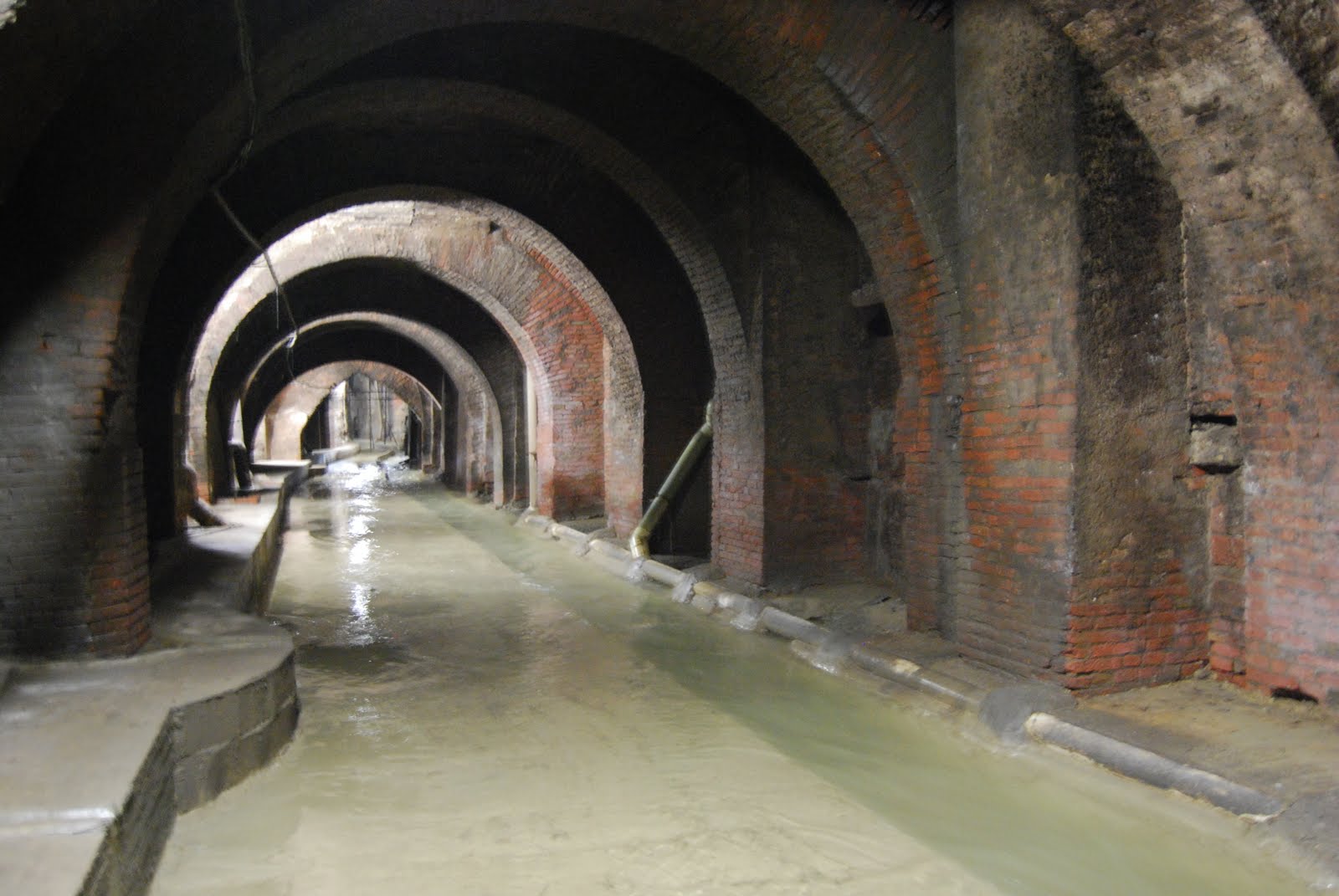 Il filo d'Arianna Visita guidata alla Bologna sotterranea Domencia