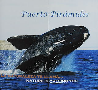 Puerto Piramides - Folletería de promoción turística