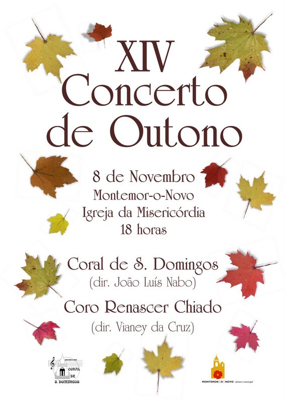 [XIV_concerto_de_outono_2008-Montemor-o-Novo.jpg]