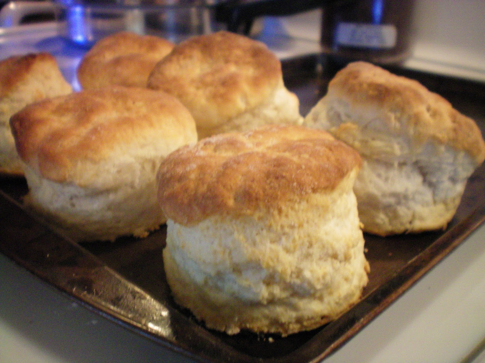 The new art of baking: Homemade biscuit
