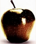 GAK!--Golden Apple of Kindness