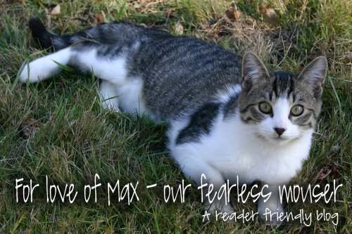 For Love of Max