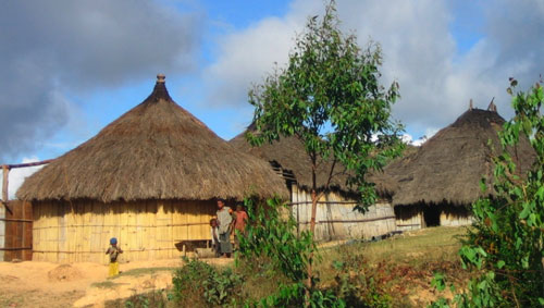 [traditional_homes_east_timor.jpg]