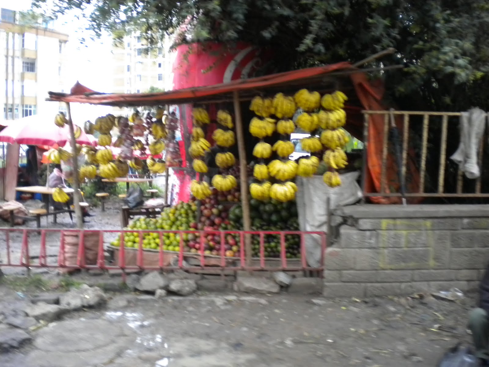 Embrace Compassion Montessori part 2, my heart is full