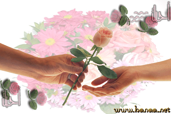 عذرني حبيبي ..أنا أنثى , أنثاك وحدك