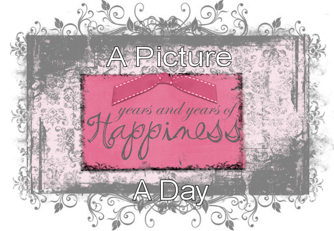 A picture a day