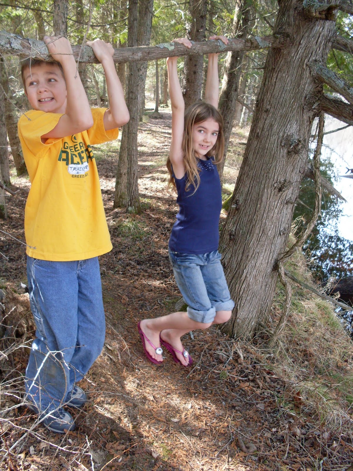 Tangerine Teapot Tree Huggers