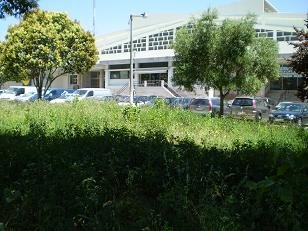 [01+24.06.2008+IV.JPG]