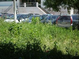 [04-24.06.2008+VI.JPG]