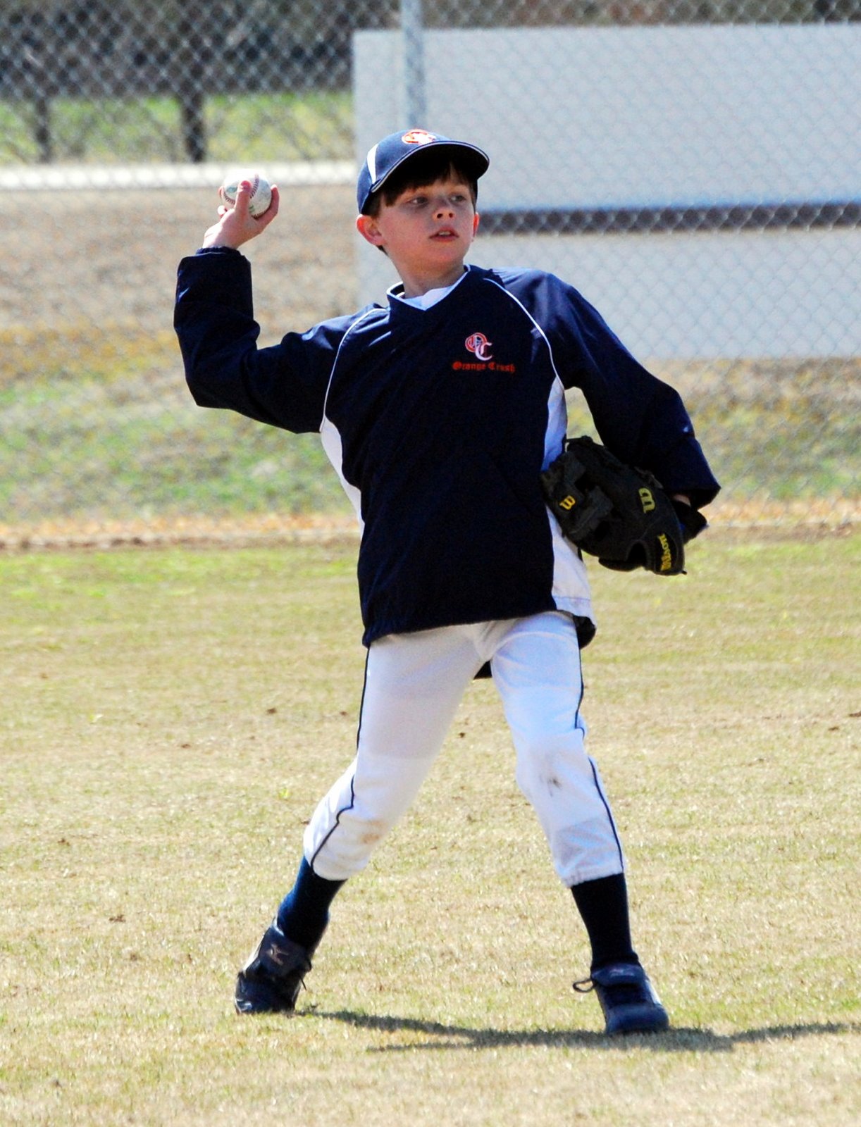 The Holland Family More Orange Crush Baseball