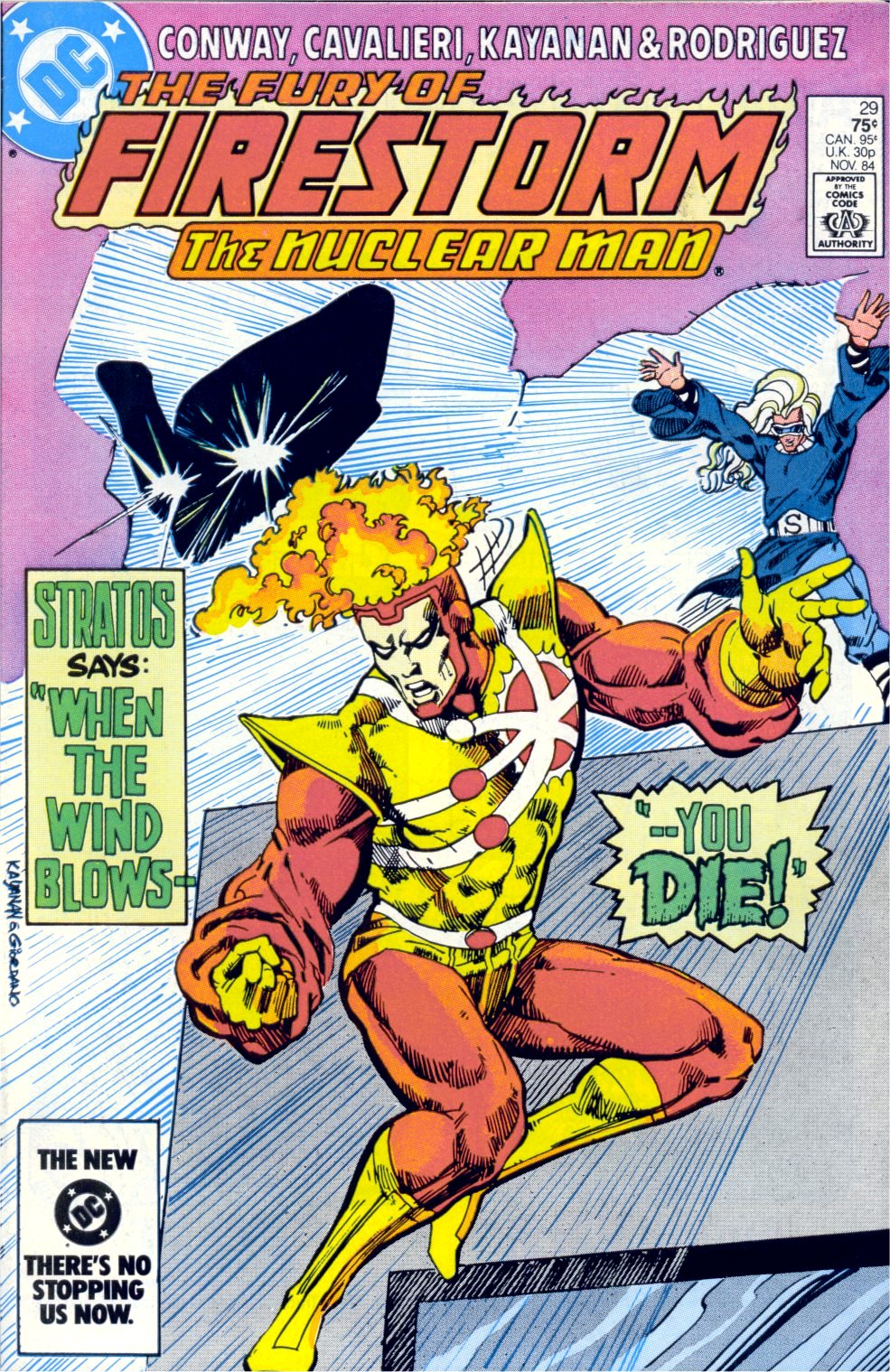 The Fury of Firestorm Issue #29 #33 - English 1