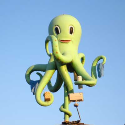 Green octopus sign, holding bucket, sponge and cloth