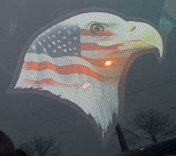 Close up of eagle head with flag superimposed on the side of its head