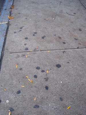 A Brooklyn sidewalk with quarter-size black spots all over it