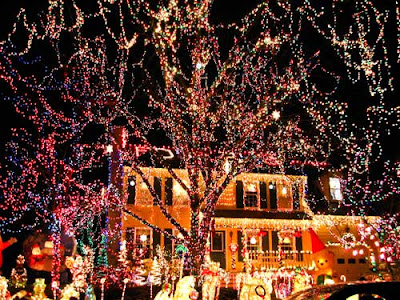 Festooned Christmas lights all over trees and house