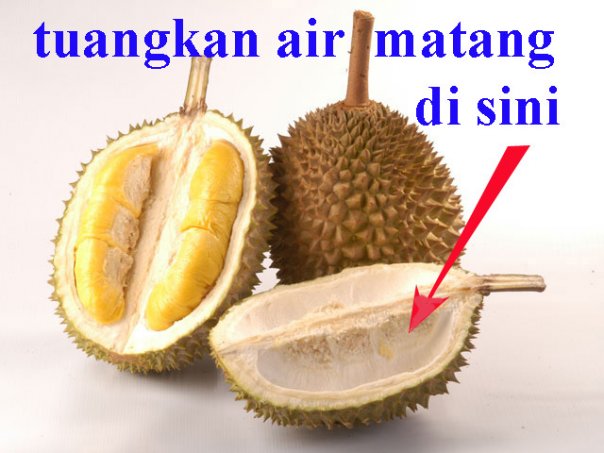 [17331_103955002958915_100000332465250_100134_7659480_n.jpg]