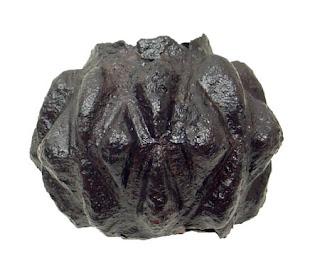 Κεφαλοθραύστες (the Byzantine Mace)  