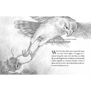 A Nest For Celeste Written And Illustrated By Henry Cole 336 Pp Rl 4