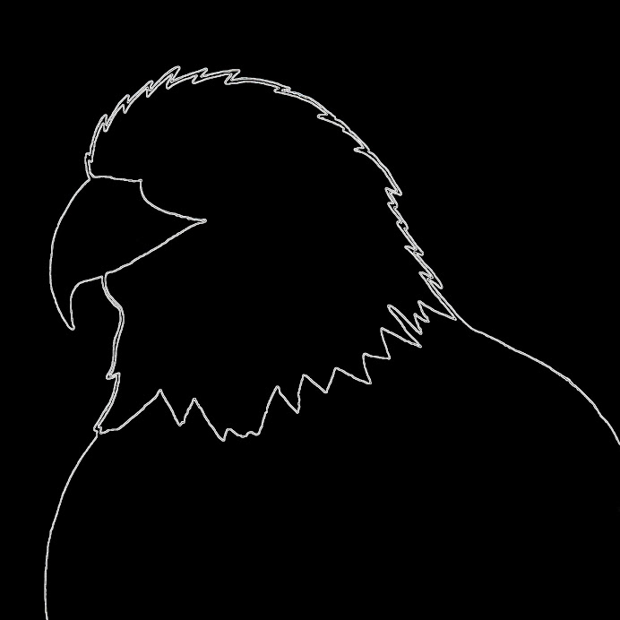 Graphic Animal Composition 4