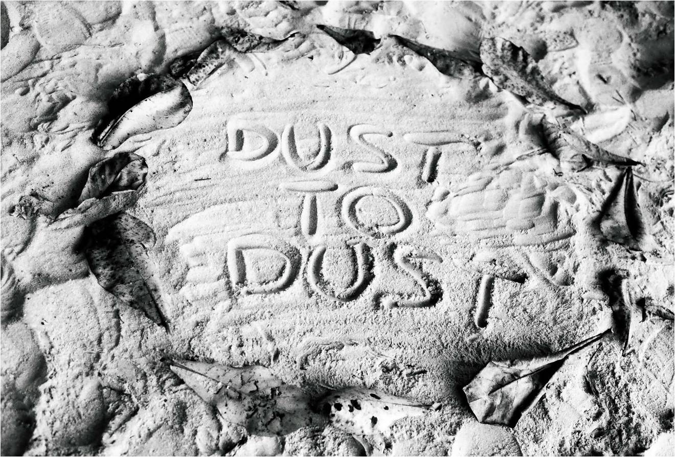 [13+dust.jpg]