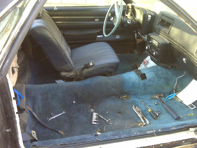 Black and Blue  Interior