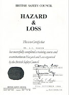 Hazard & Loss - BSC