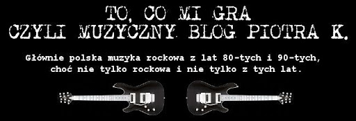 To, co mi gra czyli muzyczny blog Piotra K.