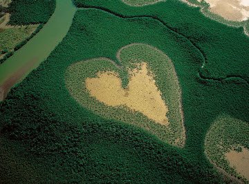 Heart-Shaped Nature