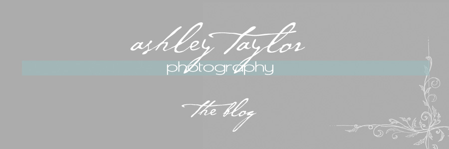 Ashley Taylor Photography