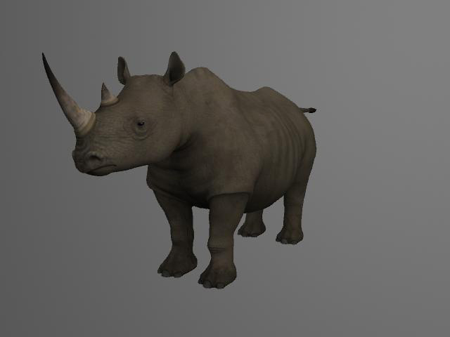 UAT TEXTURE CLASS: Rhino Texture