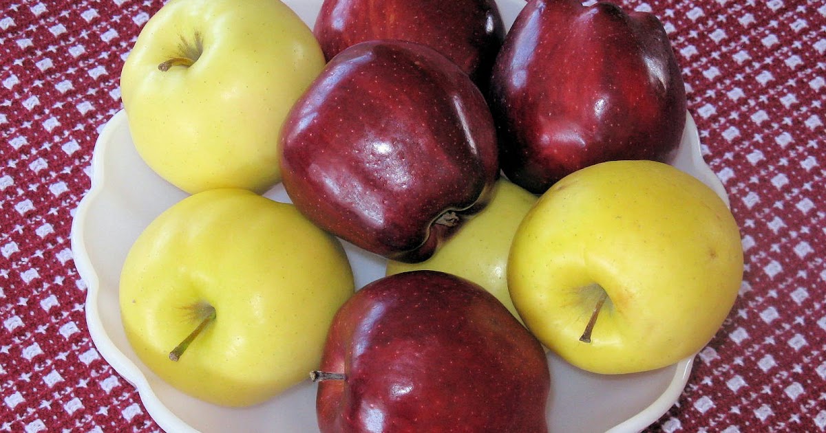 Best Fruit Trees For Colorado Front Range | Fruit Trees