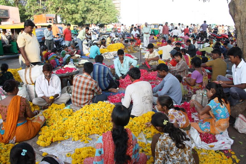 Photography and beyond At Flower MarketAhmedabad