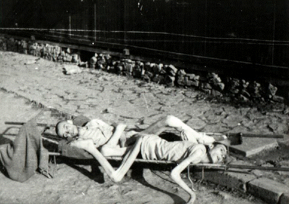 holocaust images