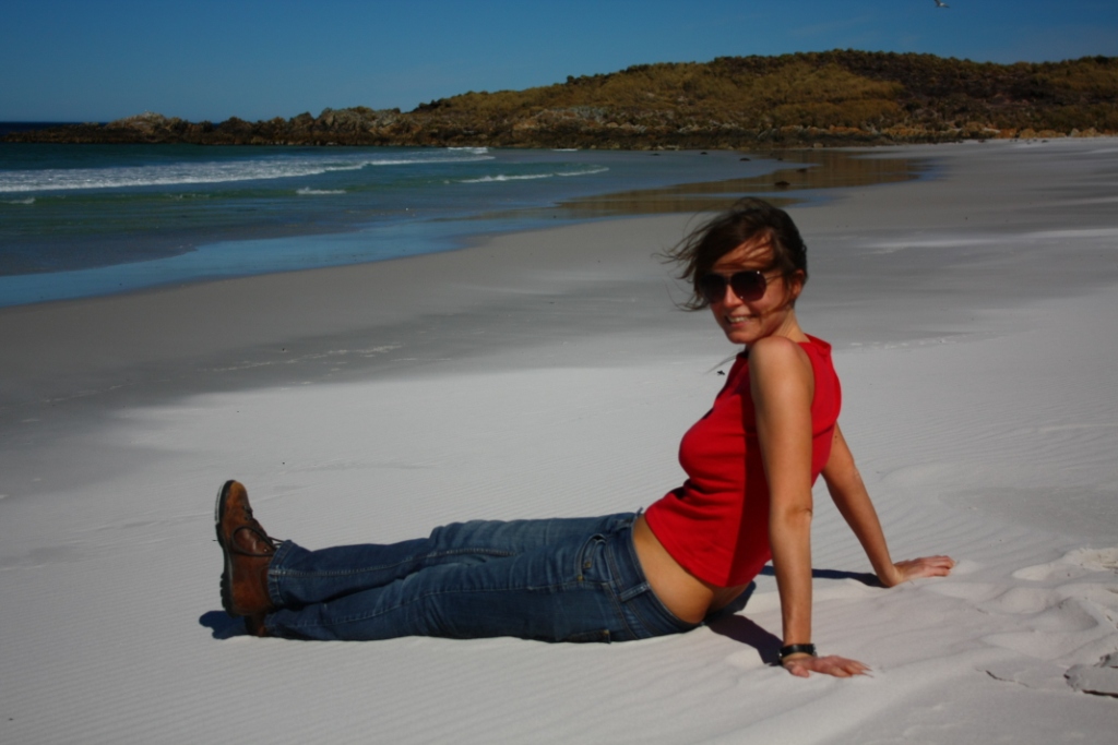 Pecked To Death By Penguins: November 2010