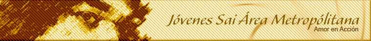 Jóvenes Sai Area Metropolitana