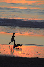 Carmel at Sunset