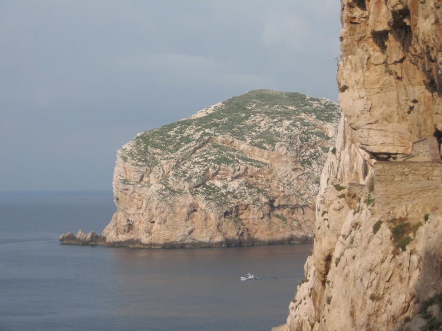 Nature Wonders